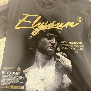 Elysium statue of David pump cover